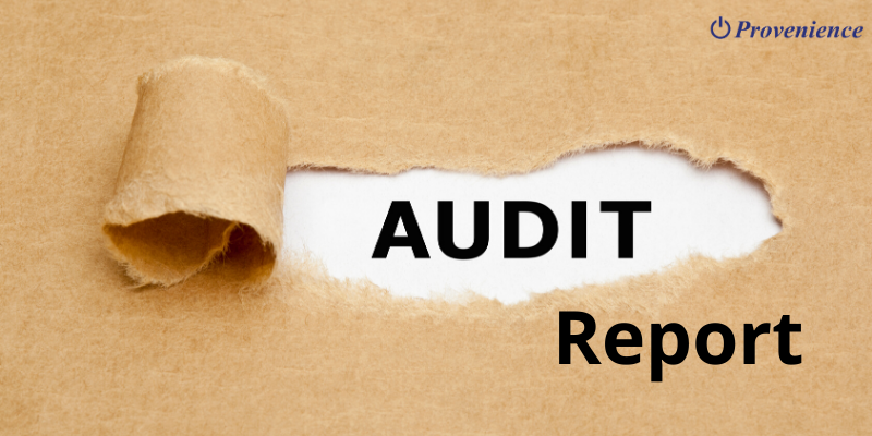 Duties of an Auditor of a Company