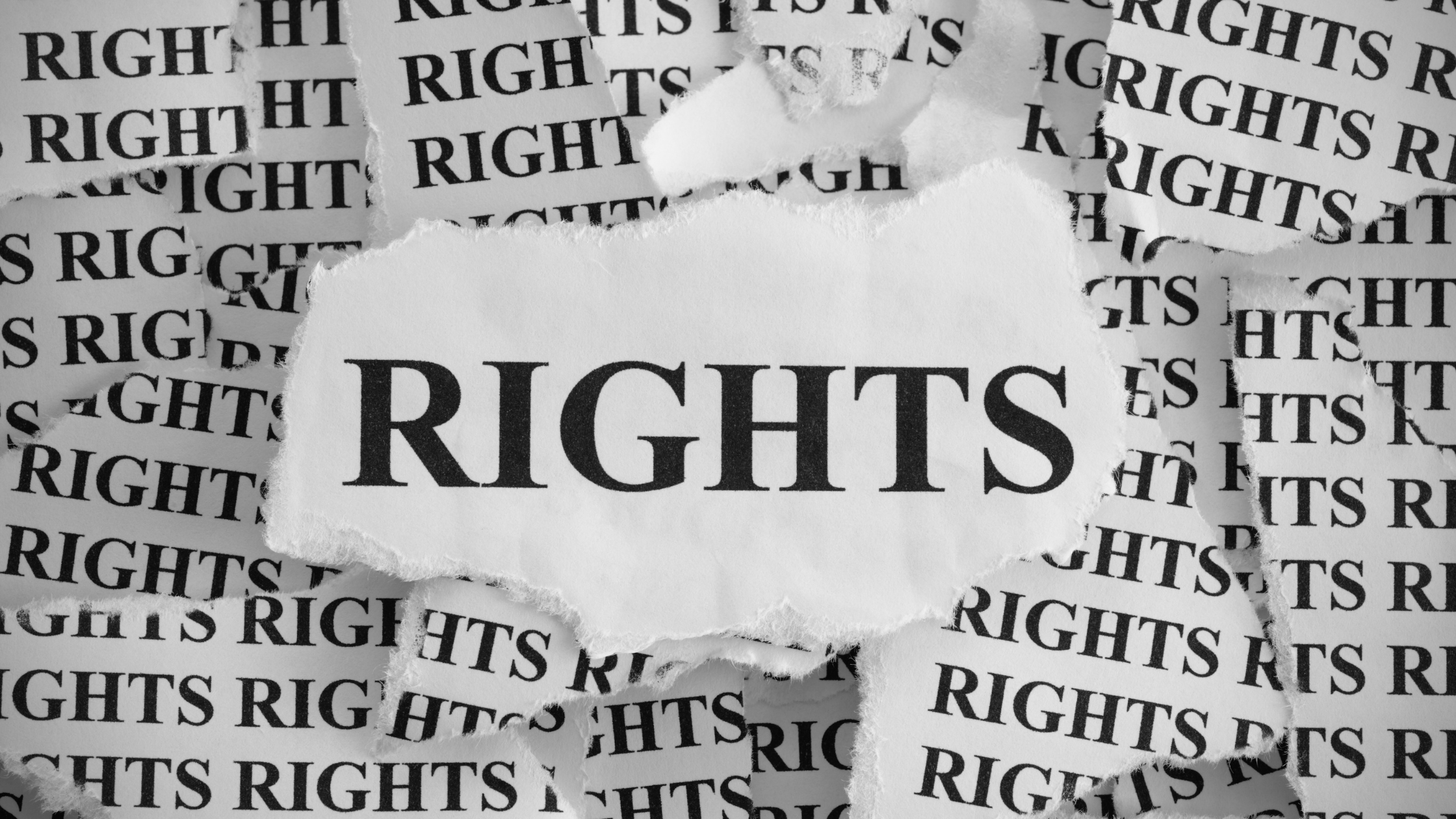 Intellectual Property Rights – An Overview
